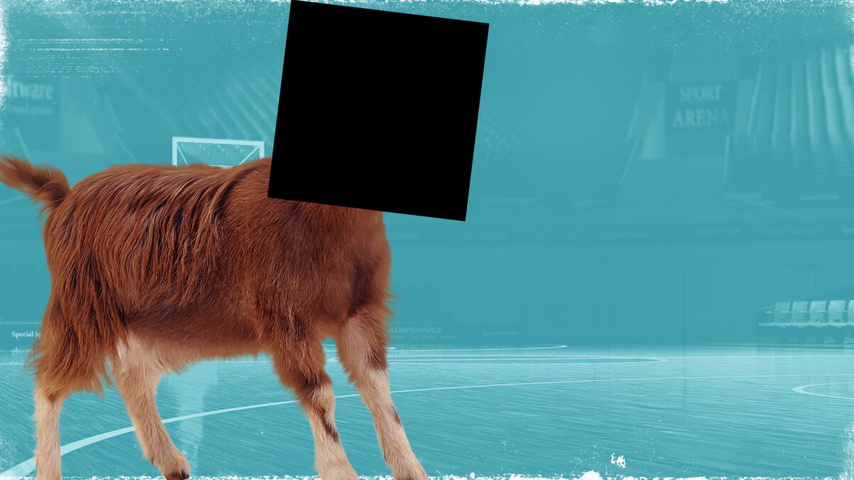 The GOATest image number null